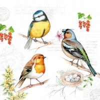 5365 - Birds on twigs