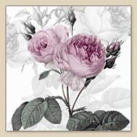 5389 - Beautiful pink roses