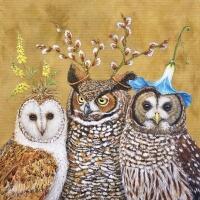 5444 - Owl Family