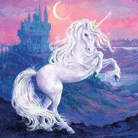 5561 - Fantasy Unicorn