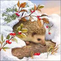5648 - Hedgehog in snow