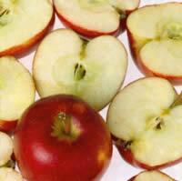 3952 - Ganze und halbe Äpfel