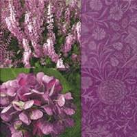 3891 - Purple flowers