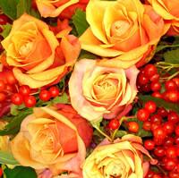 3888 - Orange Roses and currants