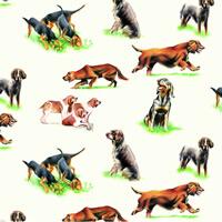 3722 - Jagthunde - Hunting dogs
