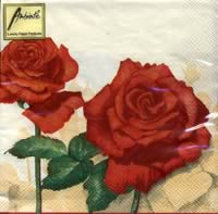 3536 - Røde roser på forsk. stadier