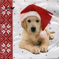 3525 - Puppy with Santa hat