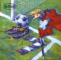3355 - Fodboldsport