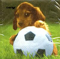 3334 - Hundehvalp og fodbold
