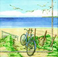 2533 - Cykel på strandtur