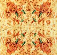 1799 - Festlig pasta