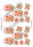 020552 18 års - Rød