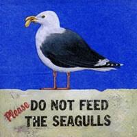 4232 – Gulls cant be fed