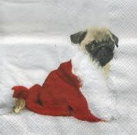 4560 - Mops i nissehue