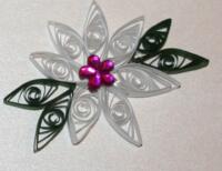 Julestjerne - Hvid majestic - Mørkegrønne blade 