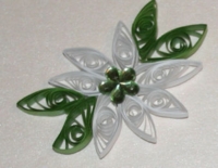 Julestjerne - Hvid majestic - Græsgrønne blade