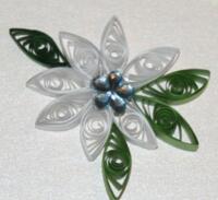 Julestjerne - Hvid majestic - Græs og mørkgrønne blade 