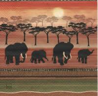 4141 - Elephants