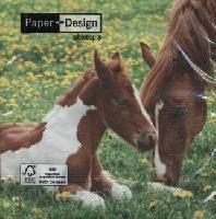 4880 - Mother horse and foal