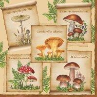 5110 - Mushrooms