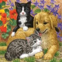 5123 - Cats and dog