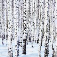 5210 - Winter Birches