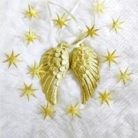 5319 - Angel wings