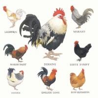 5361 - Farmyard Hens