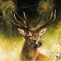 5548 - Proud Deer