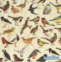 4032 - Alle mulige fugle