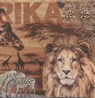 3926 - Africa Collage