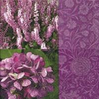 3890 - Purple flowers